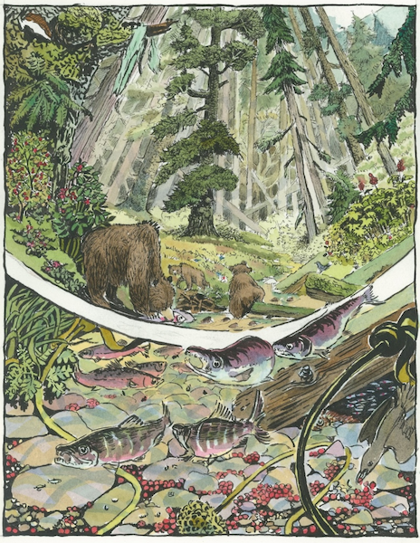 BrionyPenn_Nature Creative Commons_Rainforest_ Created in Collaboration with Conservation Decisions Lab, UBC